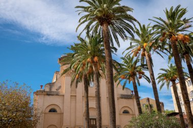 Kilise de la merhamet içinde merkezi L'le-Rousse, Corsica, Fransa önünde palmiye ağaçları