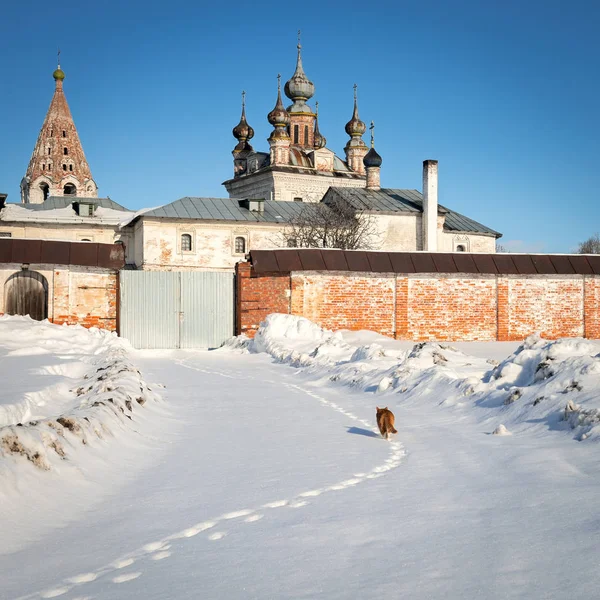 Cat trail till gamla kloster av ärkeängeln Michael i Yuryev-Polsky, Ryssland — Stockfoto