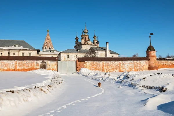 Cat trail till historiska kloster av ärkeängeln Michael i Yuryev-Polsky, Ryssland — Stockfoto