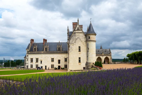 AMBOISE, INDRE-ET-LOIRE, FRANCE - 17 JUIN 2018 : Vue latérale du Château Amboise avec un lit de fleurs de lavande — Photo