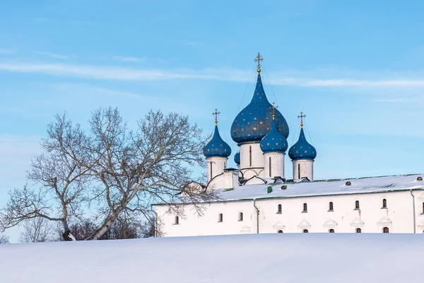 Malerische Ansicht der Kuppeln der Geburtskirche im Winter, Susdal, Russland — Stockfoto