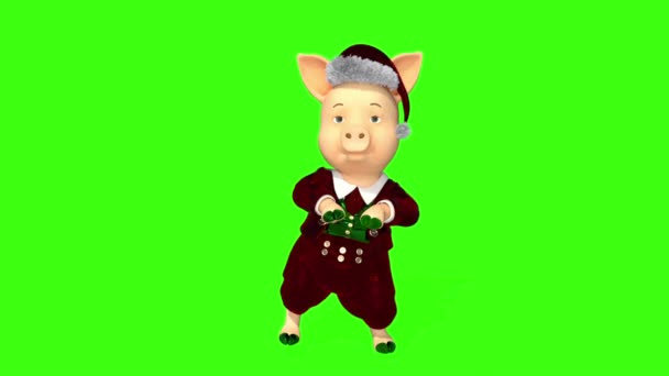 New Years pig dancing funny, loop, green background — стоковое видео