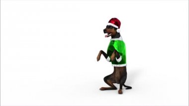 Santa oturuyor gibi giyinmiş köpek