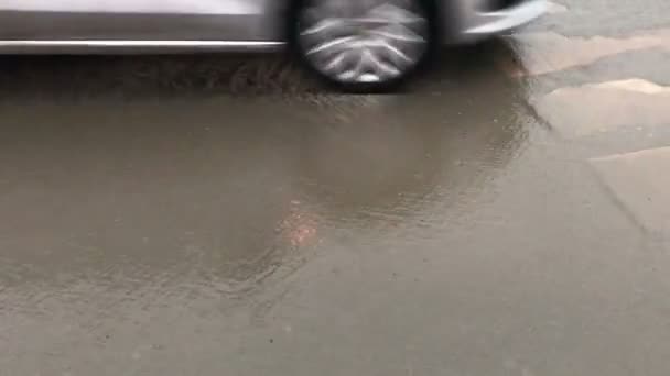 Pluie sur la chaussée — Video