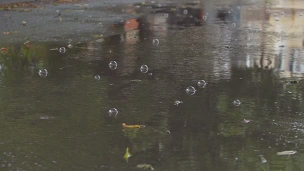 Regenpfütze mit Blasen, Zeitlupe — Stockvideo