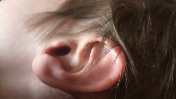 Slapende kinderen oor, close up — Stockvideo