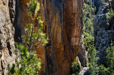 Peyzaj ve dağ dağcı