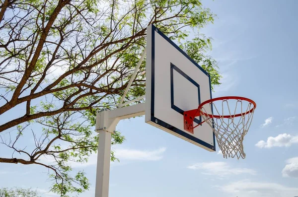 Bir köyde Valencia yakınındaki basketbol oynamak için sepet