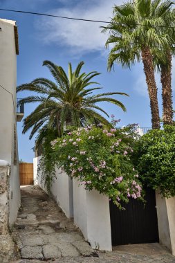 Akdeniz house ibiza ve çevresinde doğa