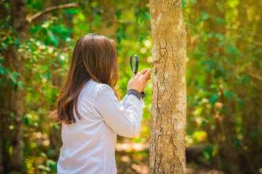 Elinde büyüteçle genç ve güzel bir kadın bilim adamı ormanda bilimsel araştırma deneyleri yapıyor.