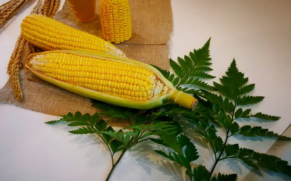 Maíz Crudo Sobre Tela Marrón Hojas Helecho Con Fondo Blanco — Foto de Stock