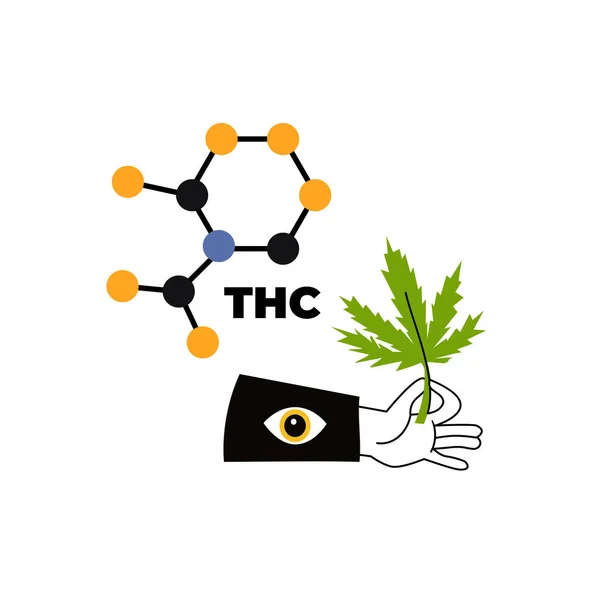 Pedazo Cáñamo Mano Pedazo Cannabis Mano Fórmula Tetrahidrocannabinol Cultivo Cannabis — Archivo Imágenes Vectoriales
