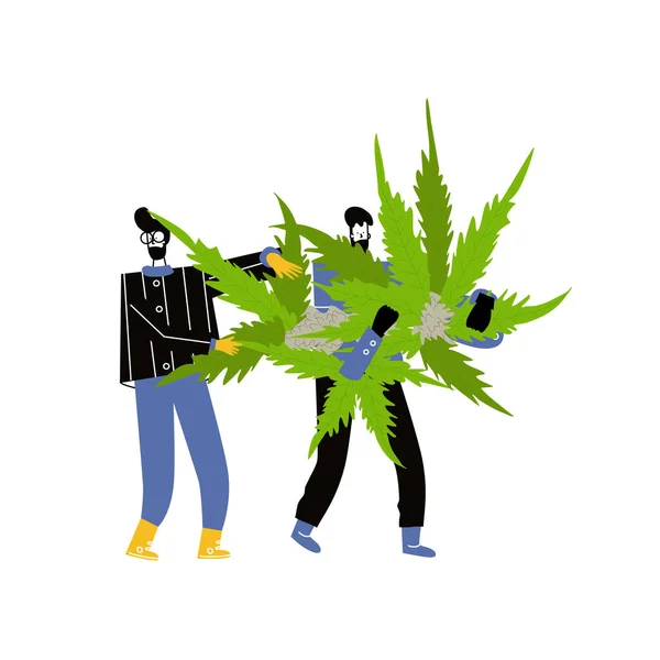 2人の男がマリファナを運ぶブッシュ 成長するギャングの概念 人々は大麻を使用し 男性のキャラクターはリラックス — ストックベクタ