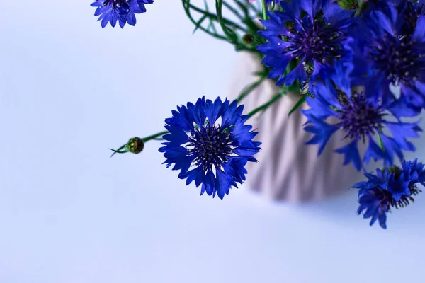 Cornflowers Stylish Ceramic Powder Vase — Stock Photo, Image