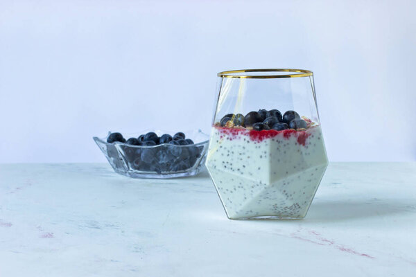 Chia pudding with raspberry puree, oatmeal and blueberries on the background of a bowl with blueberries on a white plate