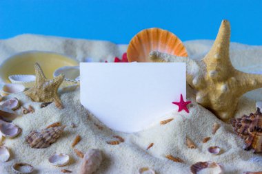 Deniz kabukları, deniz yıldızları ve mavi arkaplan üzerine metin için yer