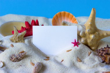 Deniz kabukları, deniz yıldızları ve mavi arkaplan üzerine metin için yer