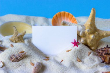 Deniz kabukları, deniz yıldızları ve mavi arkaplan üzerine metin için yer