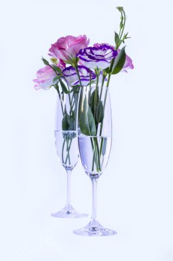 Beyaz arka planda şampanya bardaklarında Eustoma.