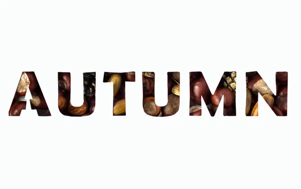 Inscription Autumn Chestnuts Acorns Cones White Background — Stock Photo, Image