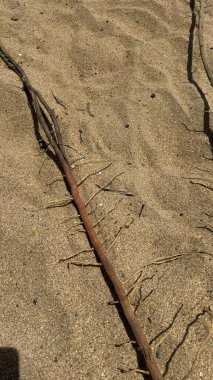 Tenerife 'deki Las Teresitas plajı. Sahra 'nın sarı kumlarında muhteşem bir tatil.