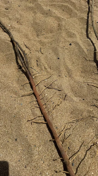 Tenerife 'deki Las Teresitas plajı. Sahra 'nın sarı kumlarında muhteşem bir tatil.