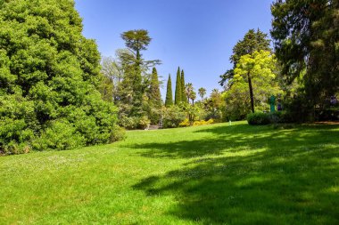 Sochi. Botanik Bahçesi. Park meyve bahçeleri ve gezi tatil