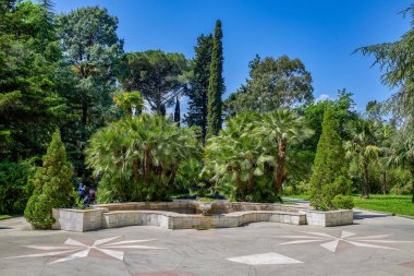 Sochi. Botanik Bahçesi. Park meyve bahçeleri ve gezi tatil