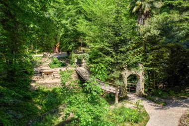 Sochi. Botanik Bahçesi. Park meyve bahçeleri ve gezi tatil
