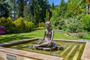 Sochi. Botanik Bahçesi. Park meyve bahçeleri ve gezi tatil