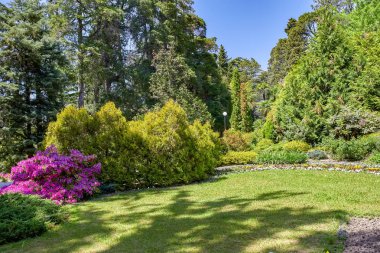 Sochi. Botanik Bahçesi. Park meyve bahçeleri ve gezi tatil