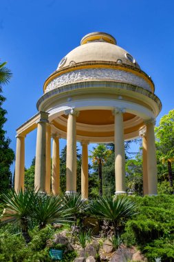 Sochi. Botanik Bahçesi. Park meyve bahçeleri ve gezi tatil