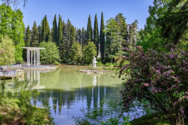 Sochi. Botanik Bahçesi. Park meyve bahçeleri ve gezi tatil