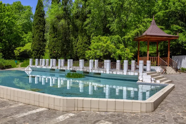 Sochi Arboretum Park Fruktträdgårdar Och Sightseeing Semester — Stockfoto