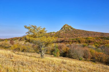 Kuzey Kafkasya sonbahar orman