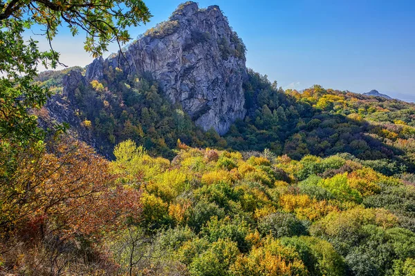 Осенние Леса Северного Кавказа — стоковое фото