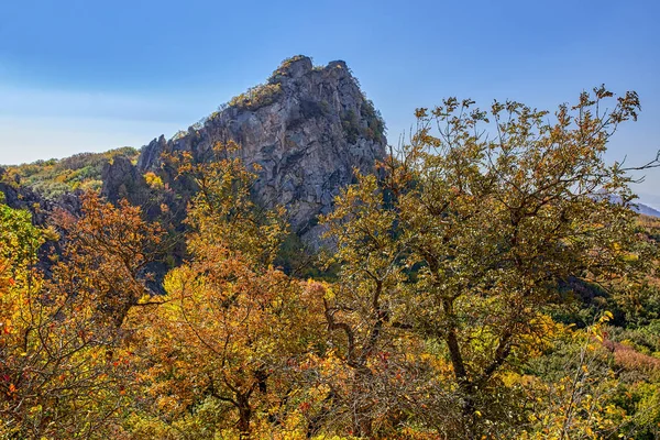 Осенние Леса Северного Кавказа — стоковое фото