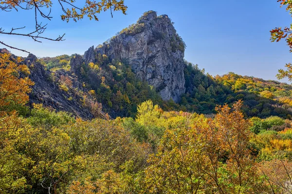Φθινοπωρινό Δάσος Του Βόρειου Καυκάσου — Φωτογραφία Αρχείου