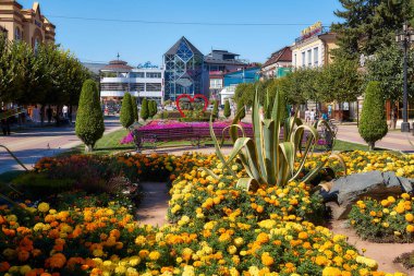 Kislovodsk. Kentsel peyzaj. Resort Bulvarı.