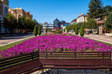 Kislovodsk. Kentsel peyzaj. Resort Bulvarı.