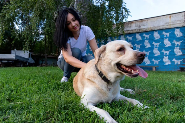 Güzel genç bir kadın en iyi arkadaşı Labrador köpeğiyle parkta eğleniyor. Bir evcil hayvanla açık hava aktivitesi..