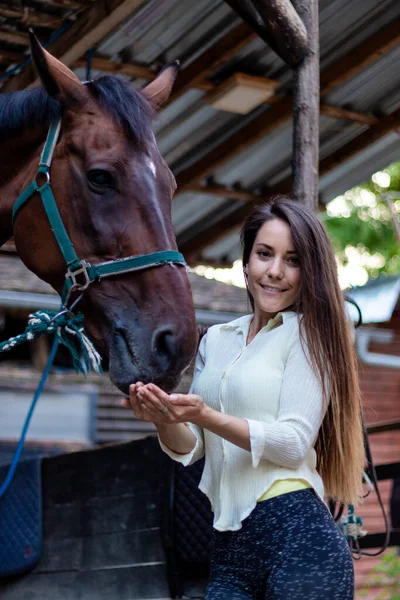 Красивая Юная Брюнетка Присматривает Своей Лошадью Конюшне Накормить Жеребца Любовью — стоковое фото
