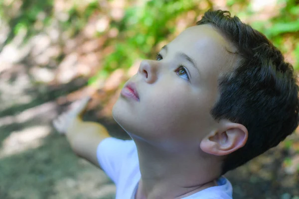 Мальчик Открытой Головой Наслаждающийся Природой — стоковое фото