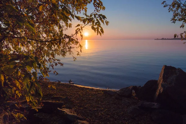 landscape on the water - sunset on the coast (horizon). top view.