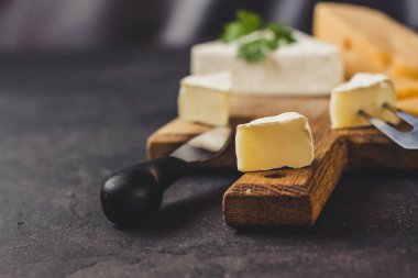 peynir Kurulu (peynir kompozisyon). üstten görünüm. kopya alanı