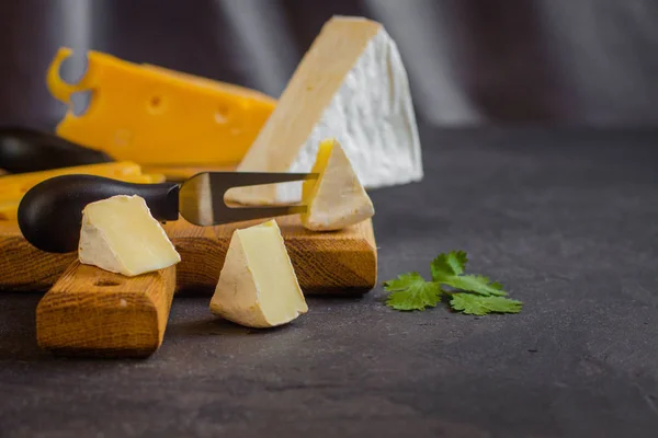 cheese board(cheese composition). top view. copy space