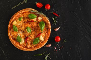 Pizza, ananas, tavuk, domates sosu, peynir, fesleğen (pizza malzemeleri). Hawai pizza. Üstten görünüm. kopya alanı