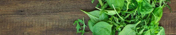 saladleaves mix (chard, lettuce, spinach, arugula, basil and more) concept top. food background. copy space