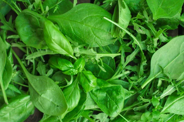 Sałatką Mix Chard Sałata Szpinak Arugula Bazylia Więcej Concept Top — Zdjęcie stockowe