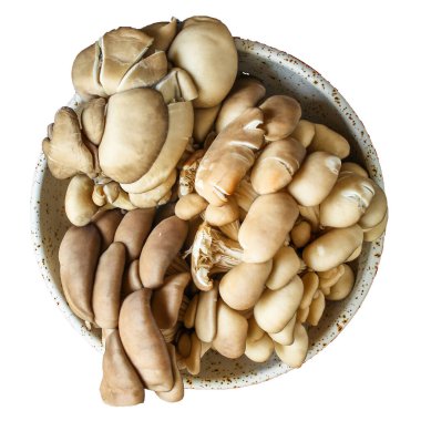 İstiridye mantarı menüsü konsepti sağlıklı yiyecek yeme arka plan görünümü metin keto veya paleo diyeti için kopya alanı